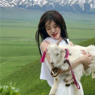 团宠六小姐太野,禁欲妄爷难把持